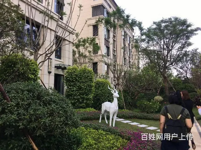 滨城小学，泰康之家，方特彩虹跑道，西柯附近精装修两房拎包入住 - 图片 12