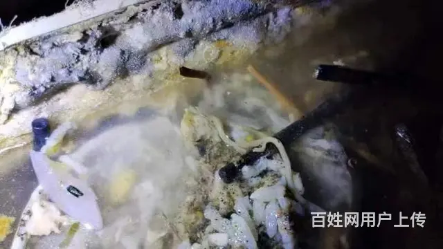 哈尔滨疏通下水.清掏地沟.高压疏通除油.化粪池改建 - 图片 2