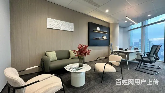 宝龙城  滨江天花板 精装带家具 地铁口好招人 - 图片 8