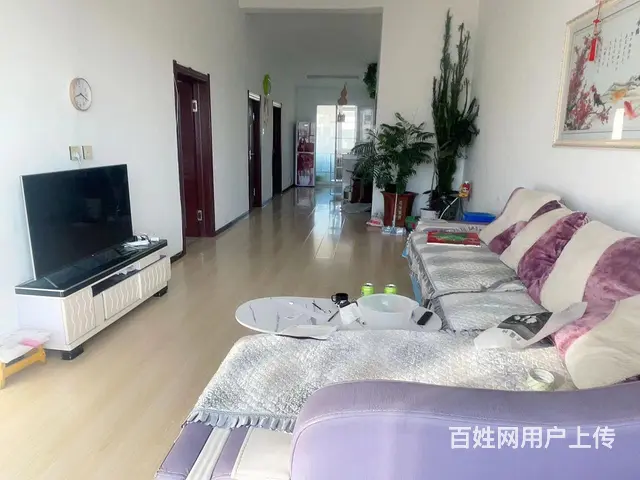 月租房600冰箱电视洗衣机热水器网 - 图片 2