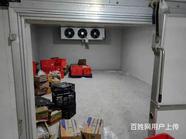 （老板本人）开福区白霞村独栋房屋➕冷库出租  5775 - 图片 6