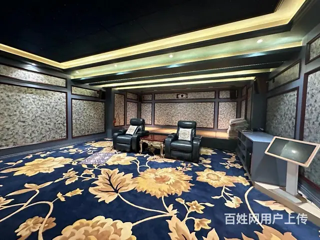 上新溪岸艺墅 豪装 下叠墅 带俩车位 200米花园 - 图片 12