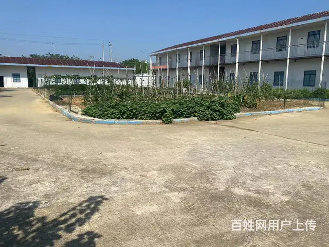 （房东直租）黄兴镇劳动东路1200平米厂房，仓库，办公出租 - 图片 3