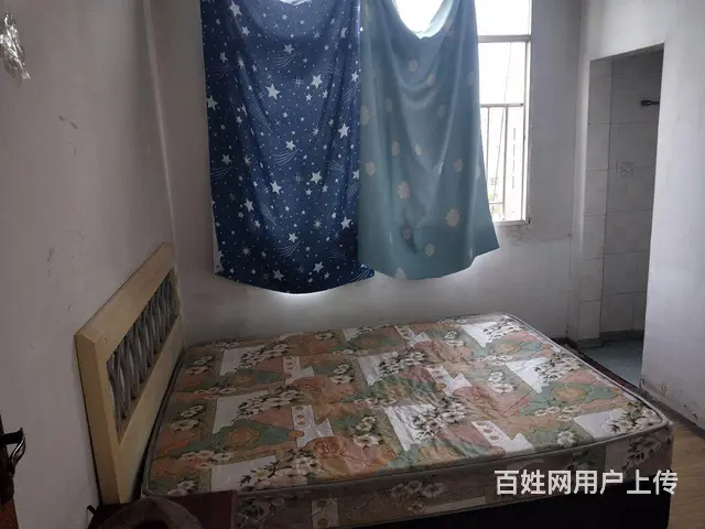 套间出租，有厨房卫生间阳台客厅洗衣房 - 图片 9