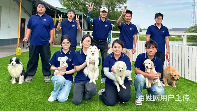 昆山宠物训练寄养学校 - 图片 1