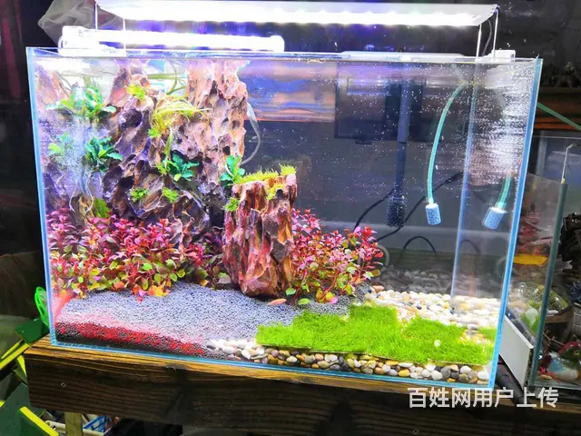 苏州鱼缸定制，专业定制鱼缸，上门服务 - 图片 3