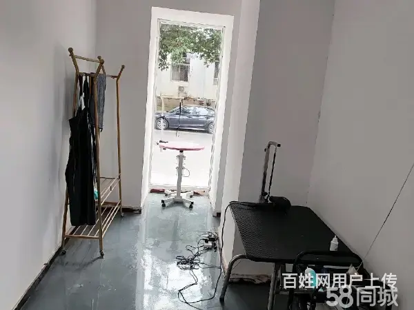 急转！邢台市桥东区南园路80平博爱宠物店 - 图片 8