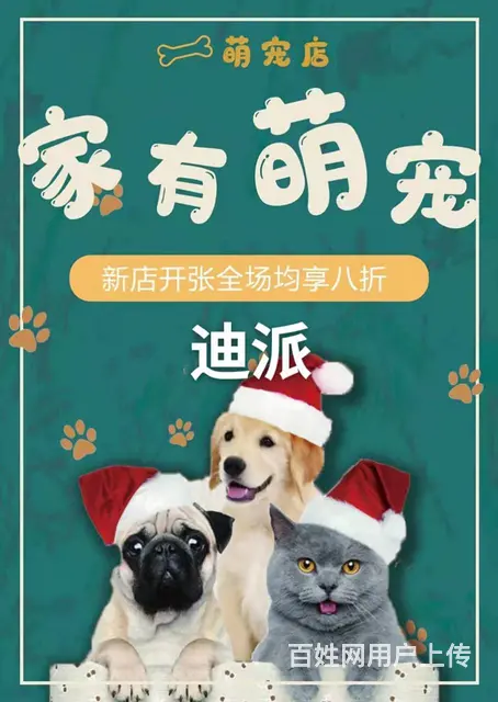 沈阳平面设计培训 短期1个月学软件 就业班3个月课 - 图片 6