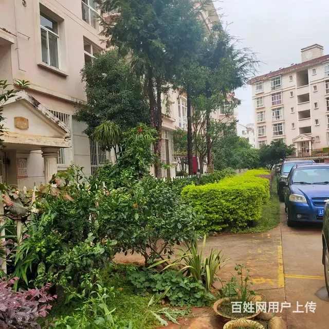 锦湖园 普通住宅2厅 精装修 - 图片 2
