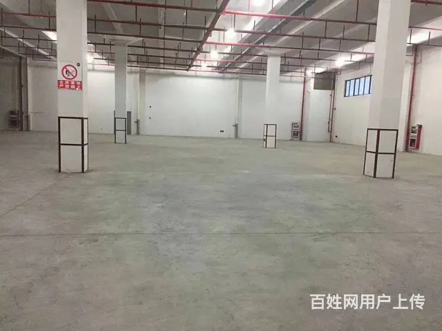 房东直租高标库及楼库（带平台） - 图片 2