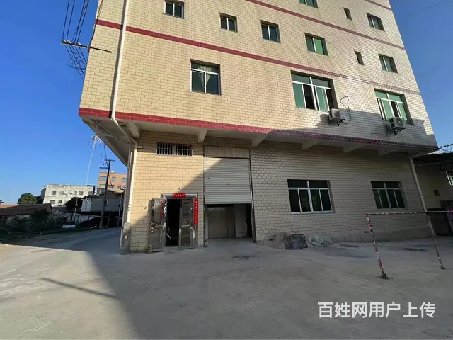 钢结构一楼厂房出租 - 图片 4