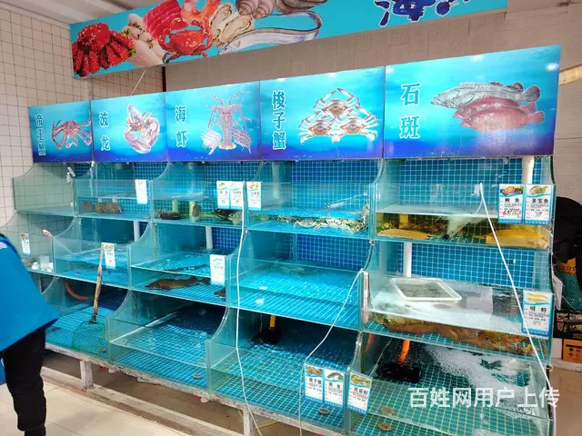 (兆丰)岱道庵路品牌海鲜超市转让 - 图片 7