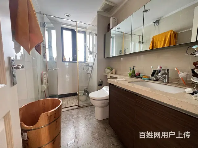 城市东岸花园 (海天公园)附近高档小区精装电梯4房 - 图片 5