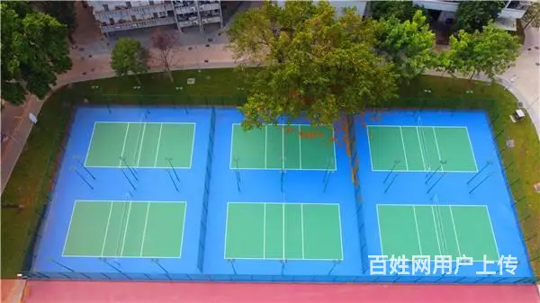无溶剂硅PU球场是什么 - 图片