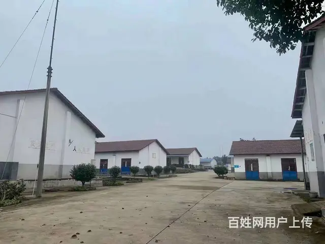 （老板本人）浏阳6500平方独门独院厂房低价出租（房东直租） - 图片 1