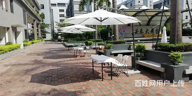深圳出租指示牌一米线沙发茶几画架会议桌工位桌 - 图片 11