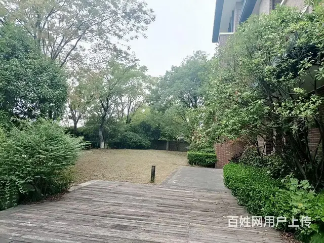 2000平的超大花园独栋大别墅出售  湘湖边 - 图片 11