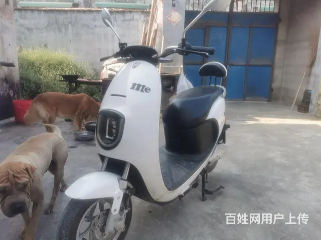 60v雅迪电动车 - 图片 4