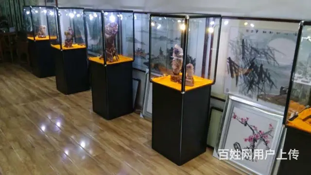 苏州珠宝展示柜玻璃展示柜书画古玩展示柜租赁 - 图片 1