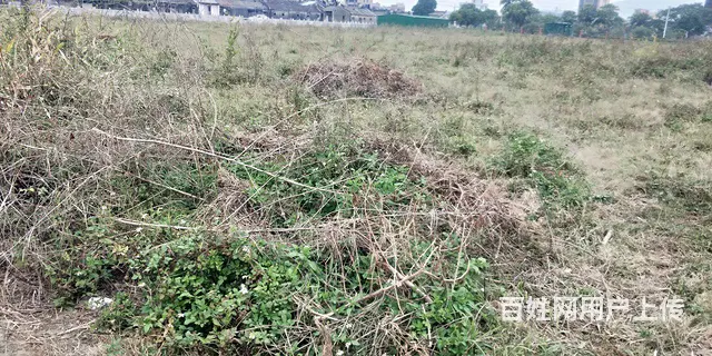 空地出租 - 图片 1