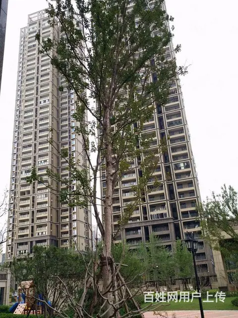 正堂山外山 居家精装 全屋暖气 拎包入住 岳家嘴 - 图片 10
