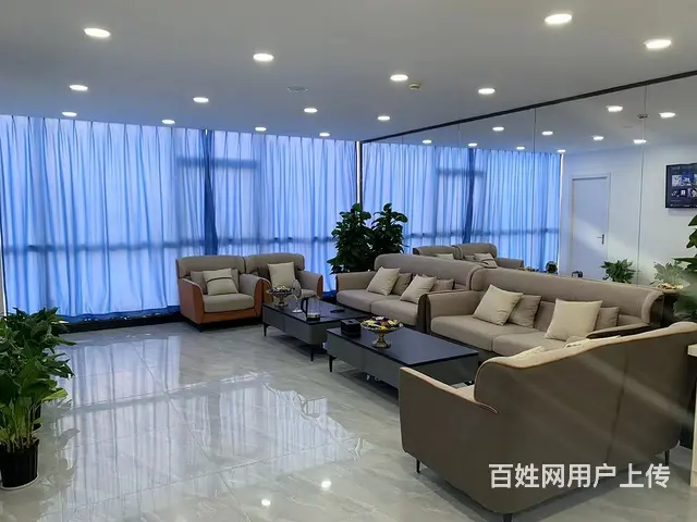 美容师美体师 - 图片 2