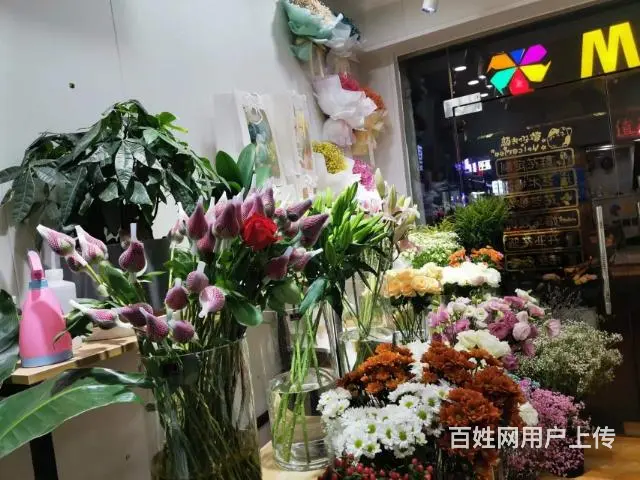 （老板房源）民政学院临街花店优价转让（可空转） - 图片 6