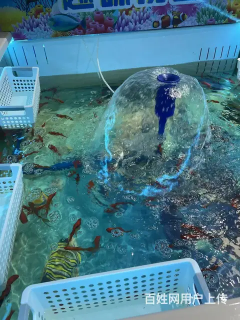 随时可以来看，商场里位置好，有固定的客源，手慢无 - 图片 6