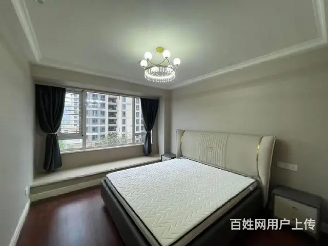 好位置!好房子!南滨江新希望拥潮府全新装修送家电! - 图片 6