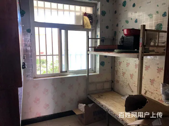 【搞定了！】庆阳市西峰区凤凰路临街商铺出租 - 图片 3
