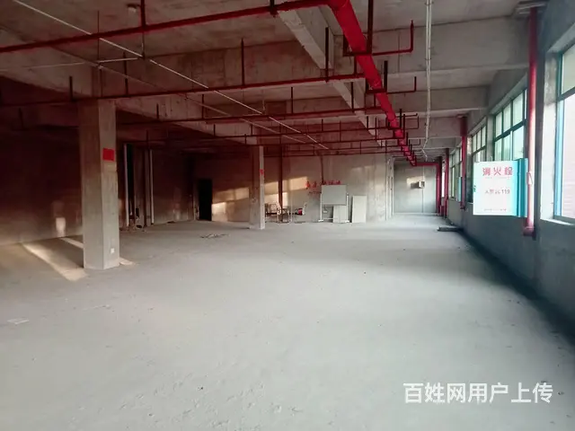 （老板本人）（好消息)望城临街旺铺房东直租 - 图片 4