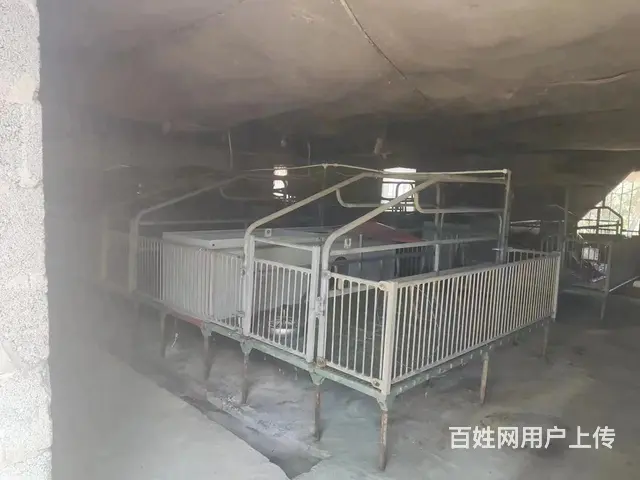 养猪场求租 - 图片 4