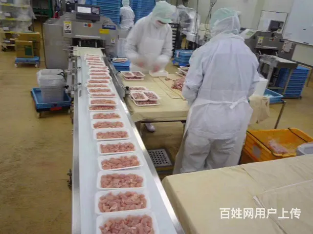 承德出国就业- 加拿大挪威- 流水线普工 - 图片 4