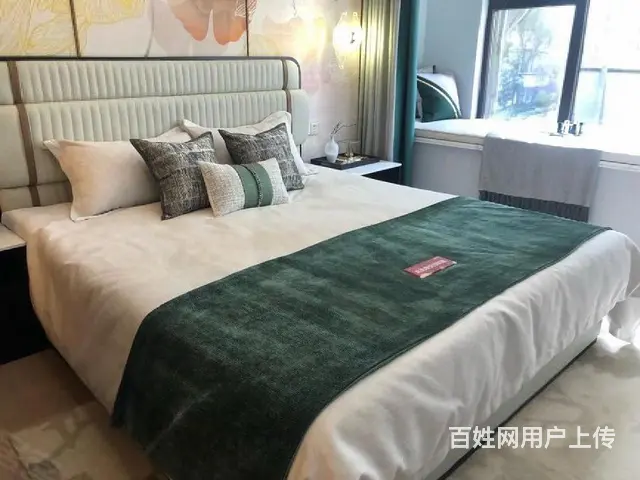 ！高铁旁现房交付！团购折轻轨高铁尊享出行方便 - 图片 12