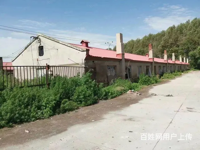 呼兰长岭村厂房出租 - 图片 2