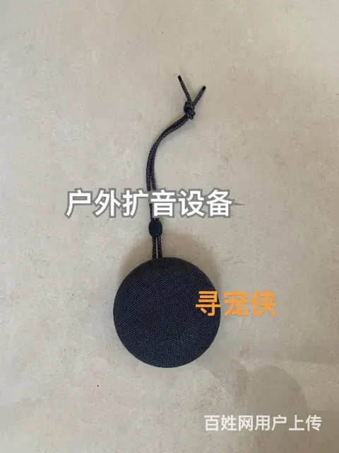 苏州专业找猫团队，苏州找猫，苏州找猫多少钱 - 图片 7