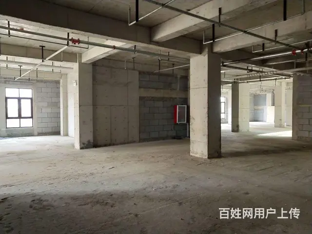 价低出租平层商铺 - 图片 3