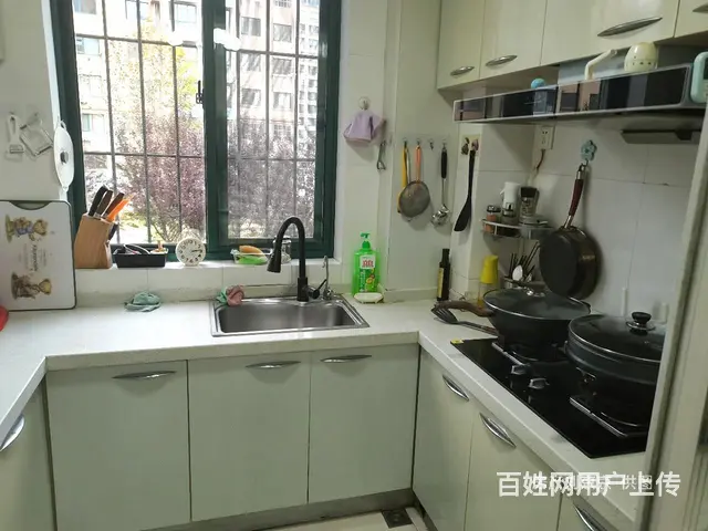 东边户落地窗客厅，卫生间带窗全明，好装修，无大税杨家滩九龙城 - 图片 6