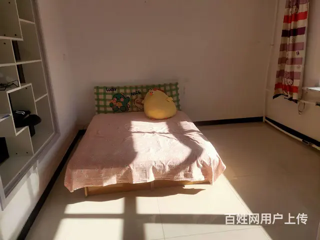 住房出租 - 图片 2