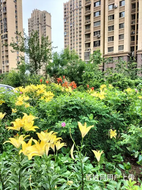卖房 - 图片 2