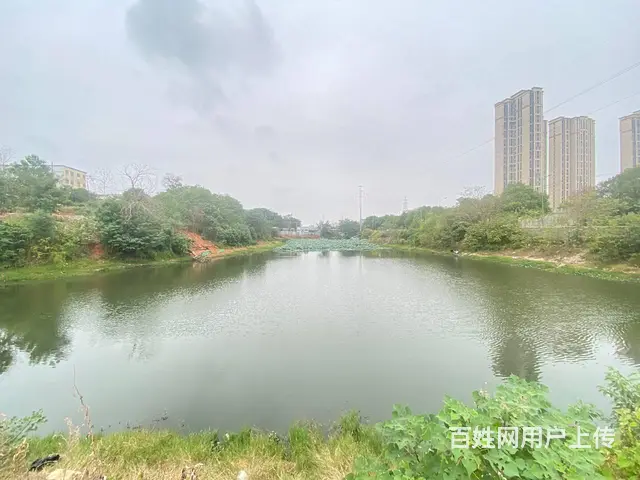 芙蓉区星沙远大二路10000平场地，7亩鱼塘出租，可分租 - 图片 12