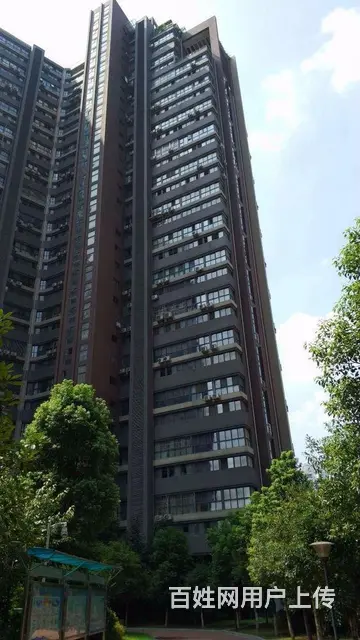 欢乐大道  岳家嘴 铁机路  复式办工好房  全明 - 图片 11