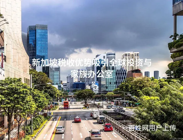 新加坡税收优势吸引全球投资与家族办公室 - 图片