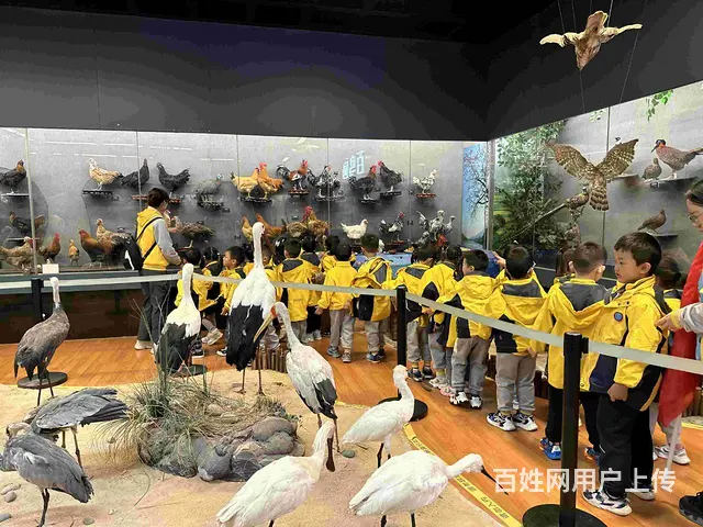 昆明官渡区便宜幼儿园	选去昆明睿思幼儿园 - 图片 3