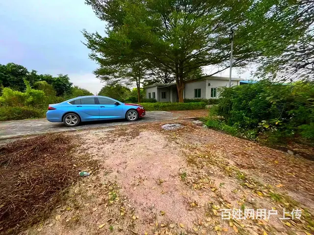 从化区鳌头镇有180亩平地绿化场苗圃场整体转让 - 图片 1
