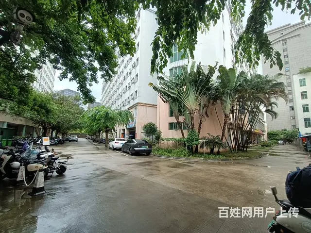 （51旺铺推荐）龙昆南60平学校档口转让 - 图片 6