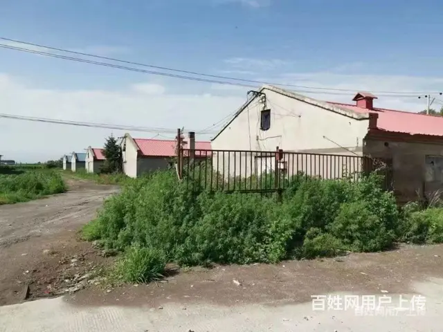 哈市呼兰区长岭村厂房出租 - 图片 1