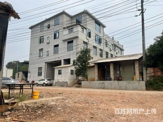 个人)沙县海吉星物流园旁500和600平方新建厂房仓库出租 - 图片 2