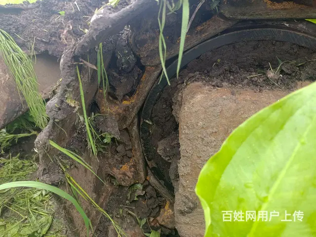 干活车自用小勾机 - 图片 6