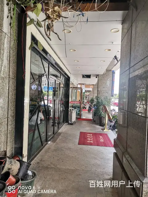 （老板本人）学校旁临街精装门面房东直租  6452 - 图片 8